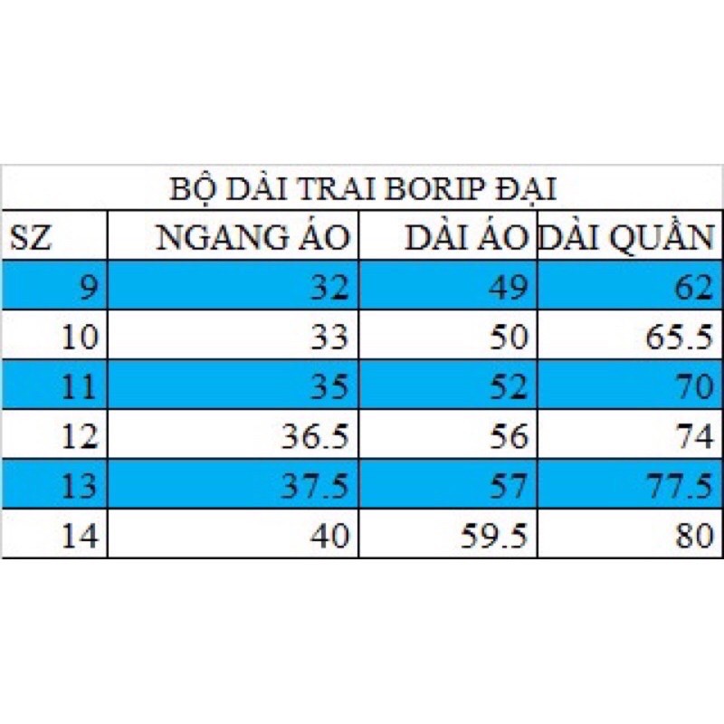 Bộ dài tay thun borip xuất khẩu cực đẹp cho bé trai size đại từ 23 đến 40kg