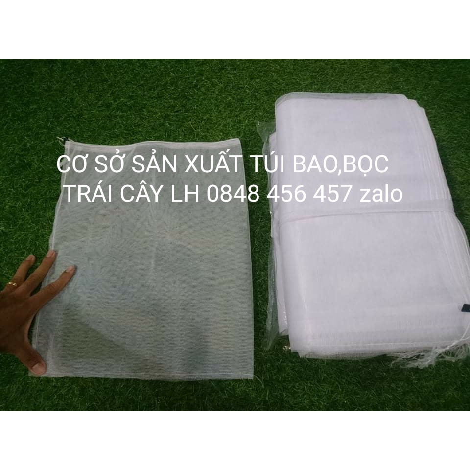 [ 100 Cái Túi ] TÚI BAO BỌC MÃNG CẦU GAI,MÃNG CẦU XIÊM KÍCH THƯỚC 35*40