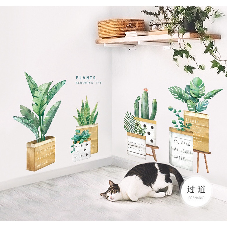 Decal trang trí tường - Nhiều chậu cây xanh trong chậu gỗ