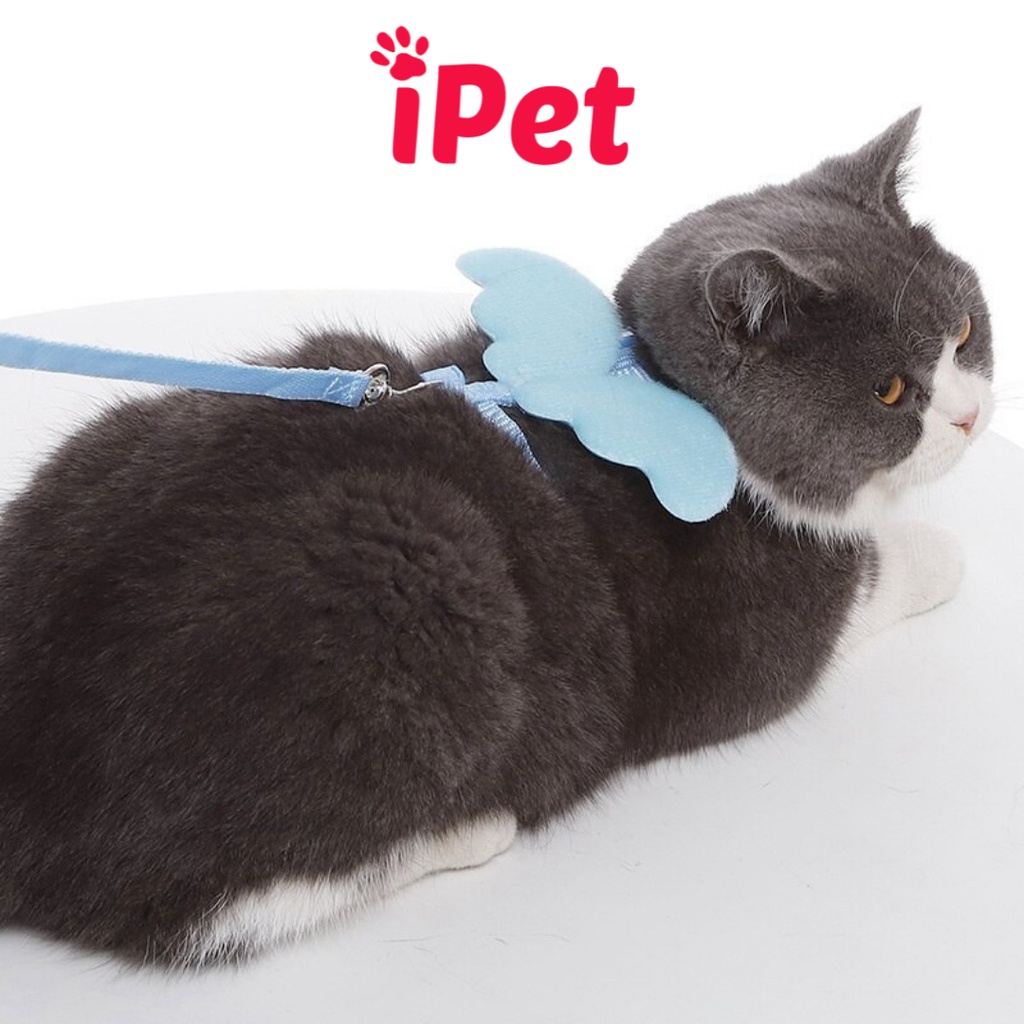 Dây Dắt Hình Đôi Cánh Thiên Thần Cho Thú Cưng Chó Mèo Dưới 5kg - iPet Shop
