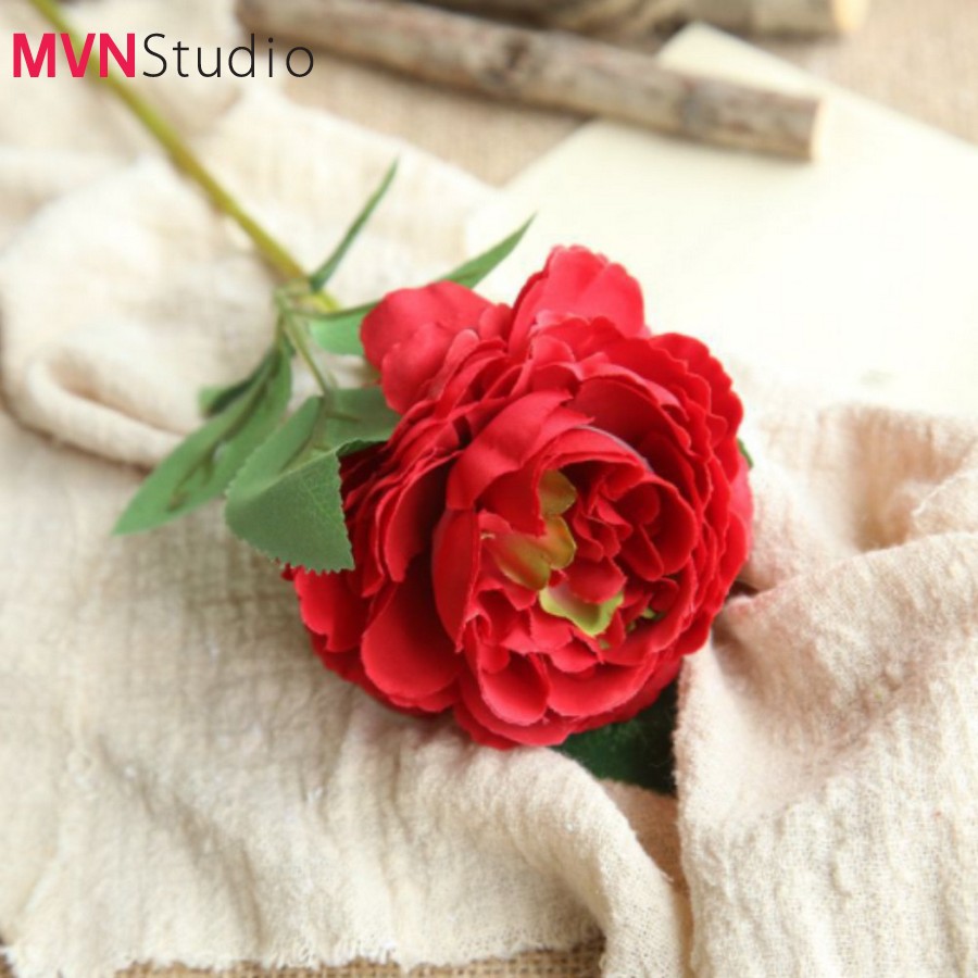 MVN Studio - Ins hoa mẫu đơn phụ kiện decor chụp ảnh trang trí nhà cửa
