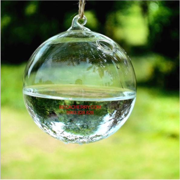 Bình thủy tinh treo trang trí nhà cửa 16cm