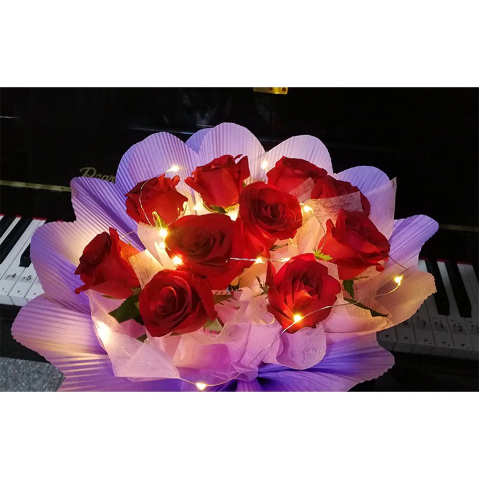 Dây Đèn Led Trang Trí Đom Đóm FairyLight 5m 10m Chỉnh Chớp Nháy Tặng Pin, Dây Đèn Trang Trí Hộp Quà, Noel Lễ Tết