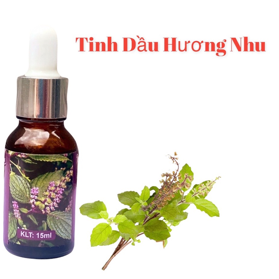 Tinh Dầu Hương Nhu Thiên Nhiên Nguyên Chất 100% Lọ 10ml Tinh Dầu Hương Nhu Thơm Phòng Giúp Đuổi Muỗi Khử Mùi