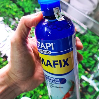 Dung Dịch Diệt Nấm API Pond Pimafix Cao Cấp