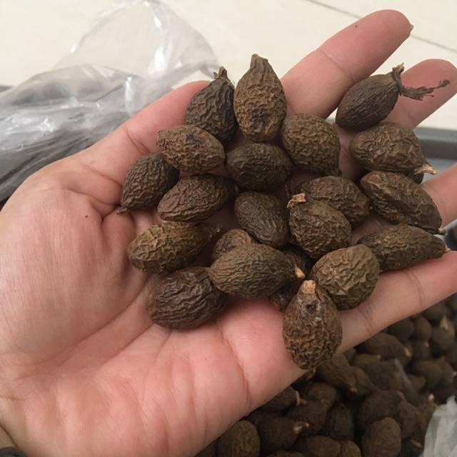 Hạt đười ươi