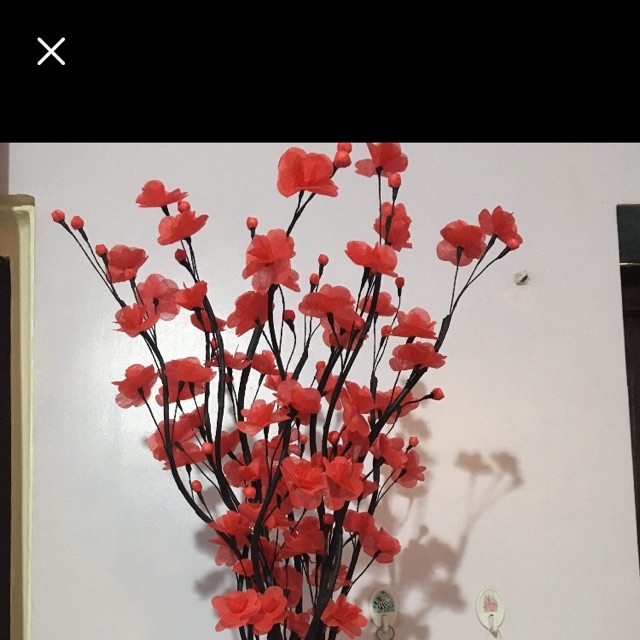 2 bộ đào mai
