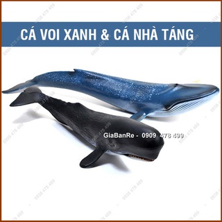 Mô Hình Cá Voi Xanh Và Nhà Táng Đen - Thế Giới Động Vật - 7673.1