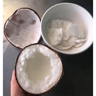 Dừa Sáp (Cơm Siêu Dày)_Combo 2 Trái Dừa Sáp Đặc Biệt