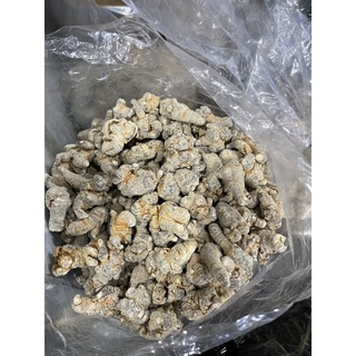 CỦ TAM THẤT BẮC LOẠI  66 CỦ
