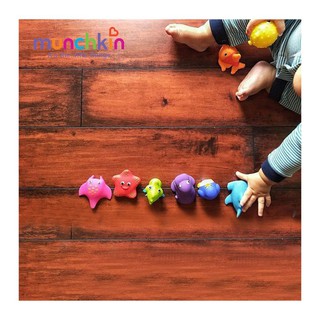 [Chính Hãng] Bộ đồ chơi sinh vật biển Munchkin