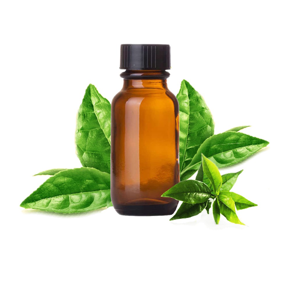 Tinh dầu trà xanh nguyên chất ( GreenTea Essential Oil ) GUTY