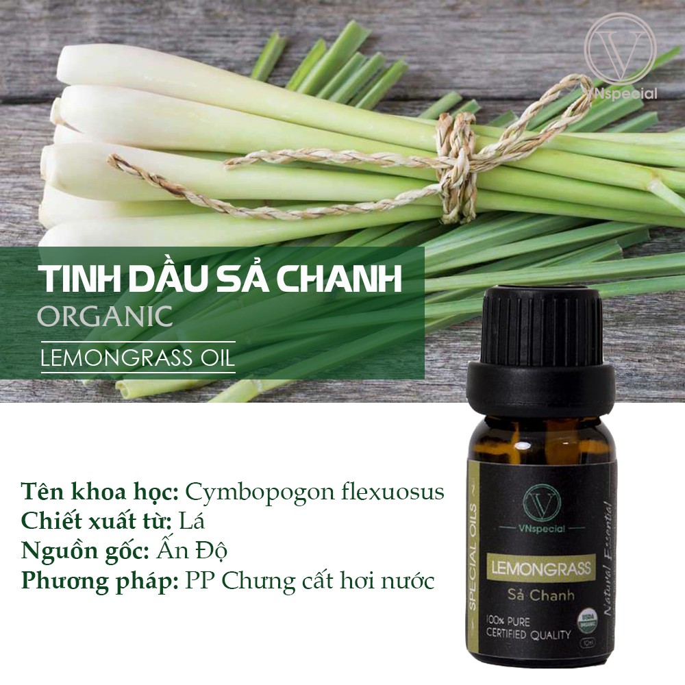 Tinh Dầu Ô Tô | Tinh Dầu Hữu Cơ Sả Chanh| Organic Lemongrass Oil | Khử mùi xe hơi, tủ quần áo – Vnspecial Oils