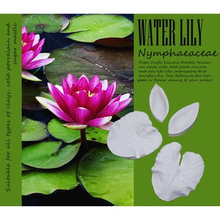 Water Lily Leaf - Khuôn vân nhựa dẻo hoa đất lấy vân 2 mặt