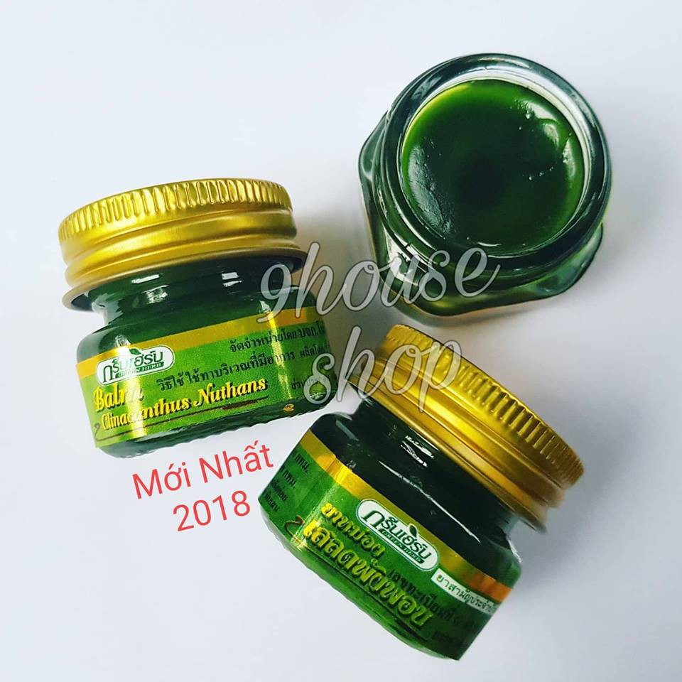 01 Hủ Dầu Cù Là Thơm Clinacanthus Nuthans Thái Lan