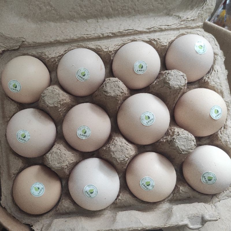 Trứng gà tươi SADU nuôi Organic, trứng gà không béo, thơm ngon, 12 quả 1 hộp