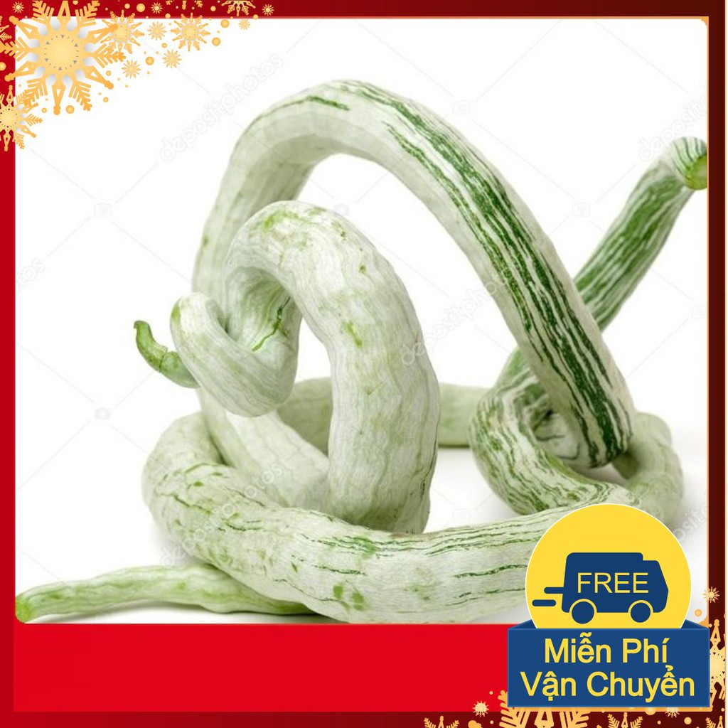 Hạt Giống Mướp Rắn