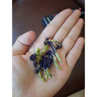 100g hoa đậu biếc
