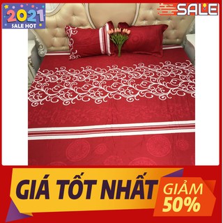 Bộ ga gối 1m6x2m poly bọc đệm 10-20cm mã t25