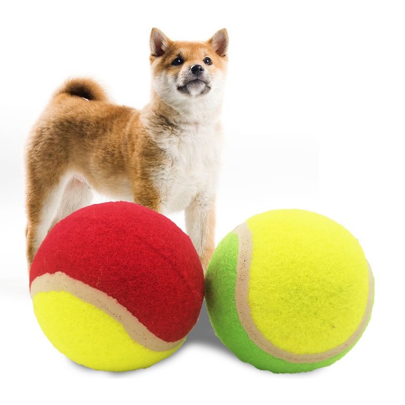Bóng đồ chơi tennis cho chó được thiết hình tròn có nhiều màu sắc ngộ nghĩnh đáng yêu. Tăng cường khả năng vận động