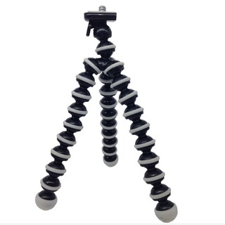 Đế bạch tuột size vừa