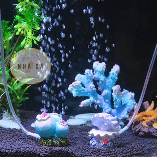 SỦI OXY HÌNH DÁNG BONG BÓNG SAN HÔ