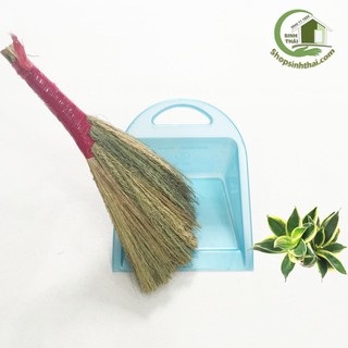 Combo chổi quét bếp và đồ hót rác mini