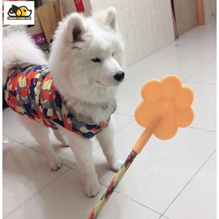Roi "tét đít" dạy cún cưng👍🏻😉