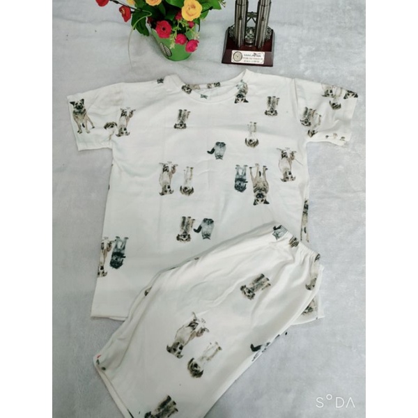 Sale 50%- Đồ Bộ Mặc Nhà Thun Ngố Thu Đông Chất Thun Len Mềm dành cho nữ freesize dưới 49kg