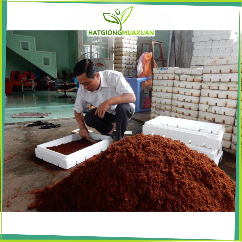 [SIEURE] Giá thể Xơ Dừa nguyên chất trồng rau sạch. hàng đẹp, phân phối chuyên nghiệp.