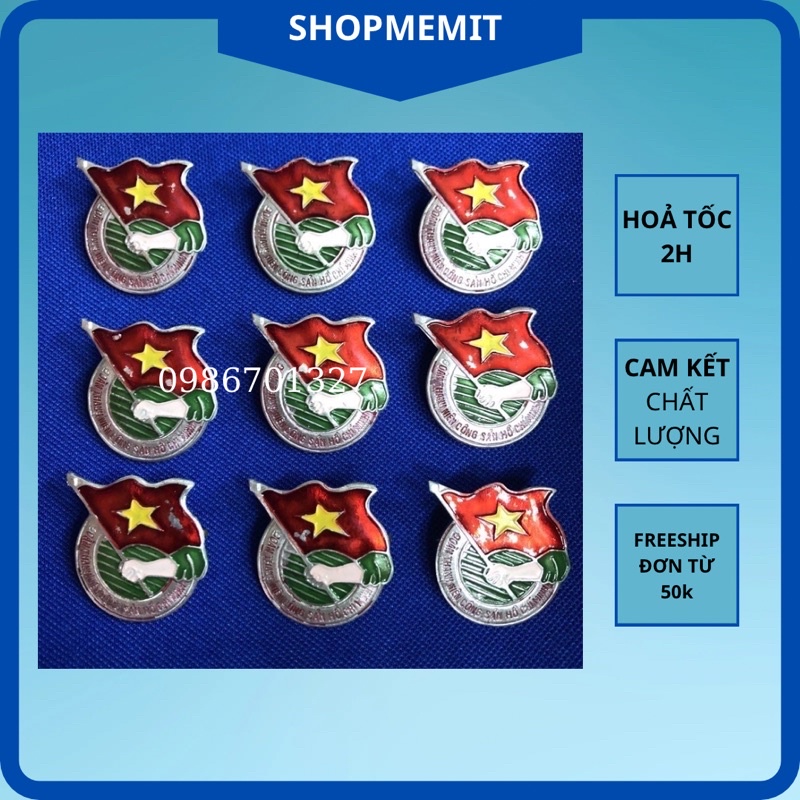 Huy hiệu Đoàn Thanh Niên Việt Nam