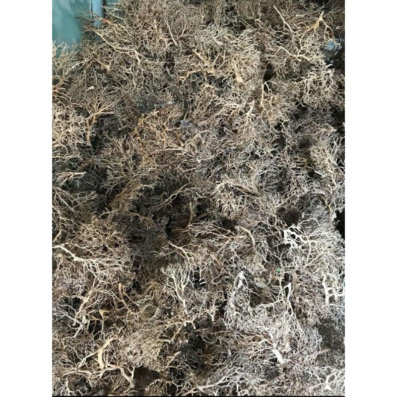 100g và 200g lũa xương chùm quấn rêu - bonsai trang trí hồ cá.