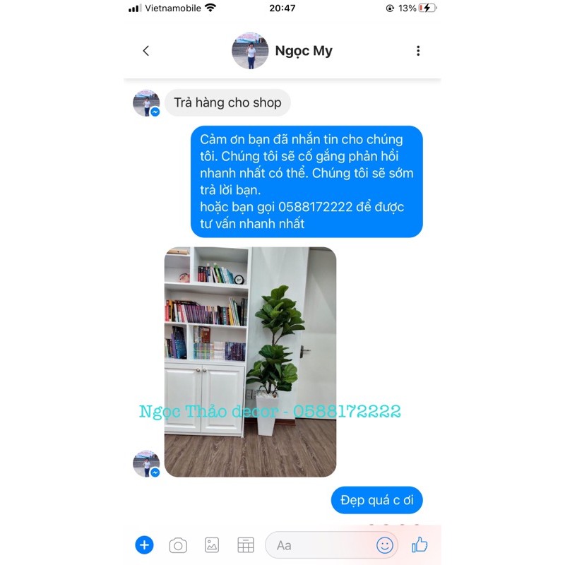 Cây bàng Singapore giả -cây hoa giả  Trang trí không gian sống, nhà cửa