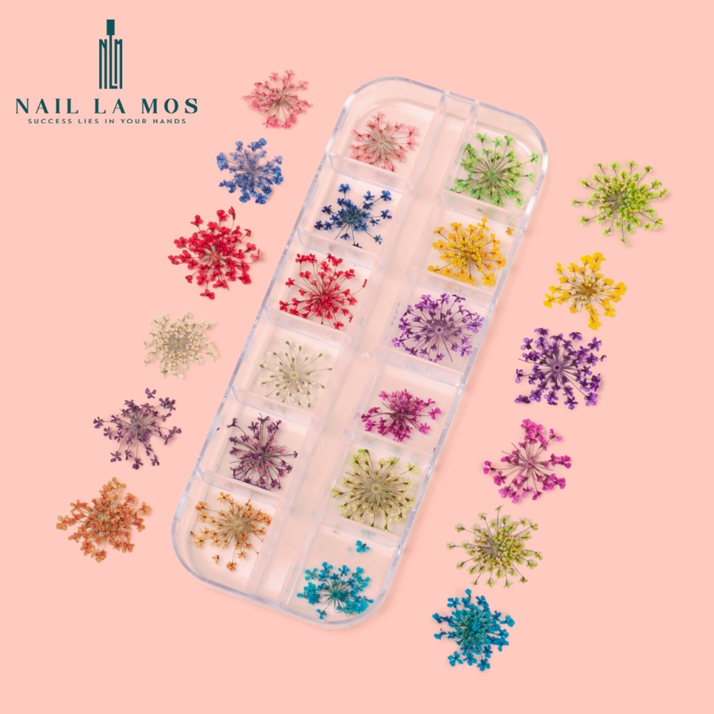 Hoa khô trang trí móng tay - Set 12 màu hoa chùm đắp gel ẩn phong cách Hàn Nhật