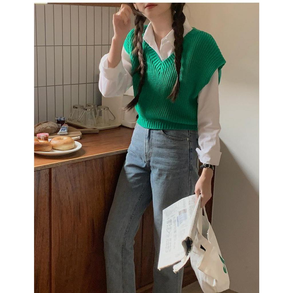 Áo Sơ Mi Cổ polo Dài Tay / Áo Vest Dệt Kim Rộng Rãi 61741