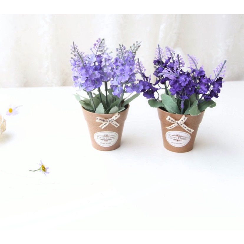 Chậu Hoa Lavender Nhỏ MiNi Để Bàn Trang Trí Dercor Siêu Đẹp[Kèm ảnh thật]