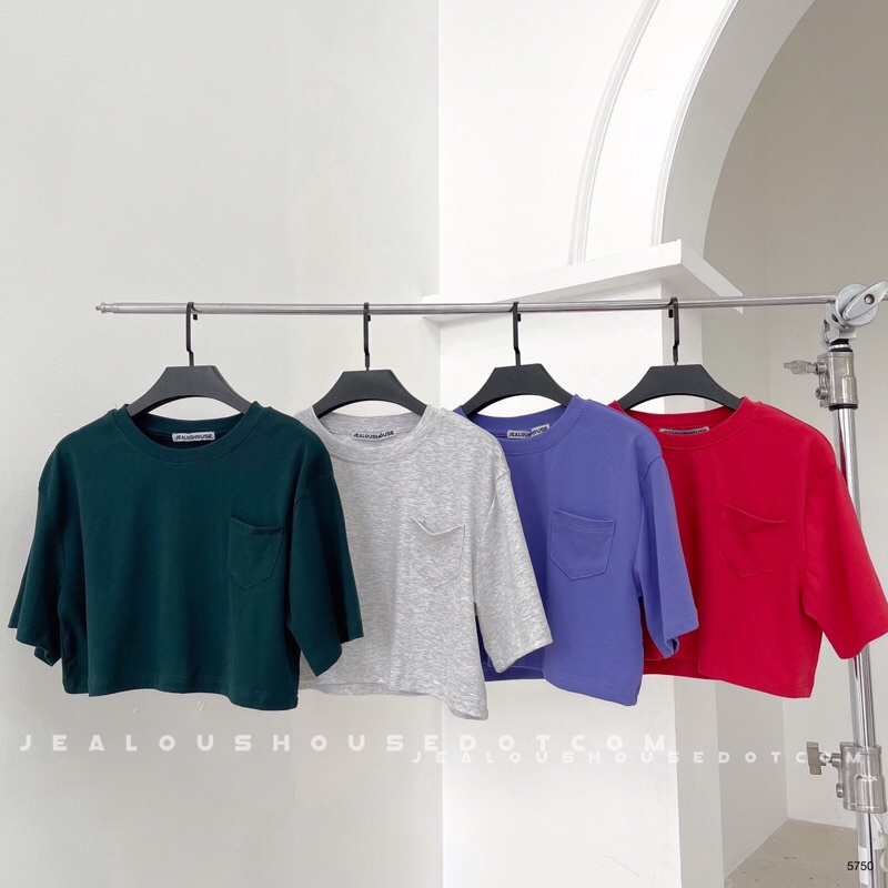 Áo thun nữ, áo phông croptop basic ss01 Jealous product 5750