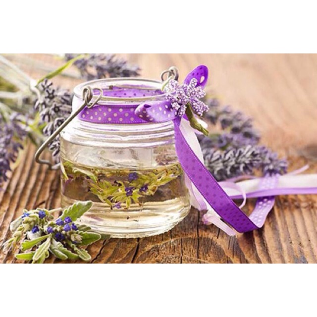 Sỉ trà hoa oải hương lavender hũ như hình