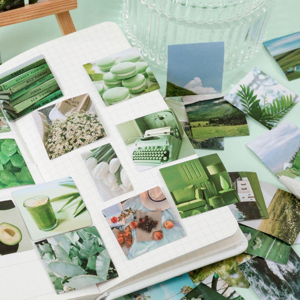 Miếng Dán Trang Trí Sổ Tay Hình Khu Rừng Dễ Thương