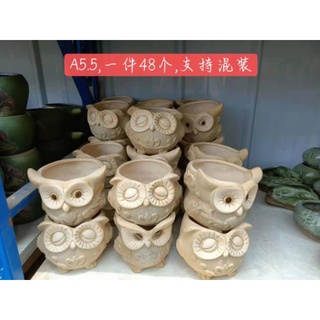 Chậu trồng sen đá _ Chậu cú