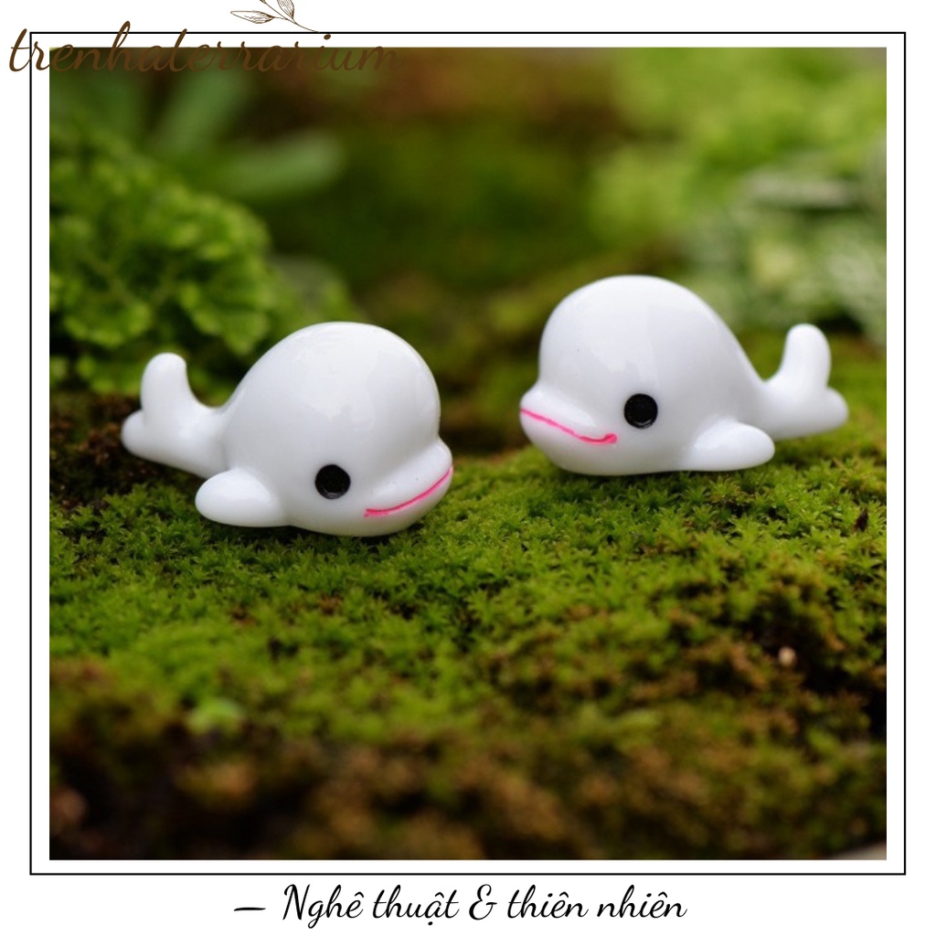 Tiểu cảnh chú cá heo trang trí sen đá, xương rồng, terrarium, charm slime, cây cảnh mini, cây để bàn, đồ trang trí