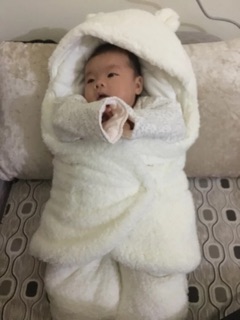 Chăn ủ kén lông cừu