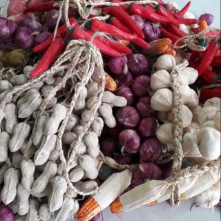 10 dây nông sản mầm non