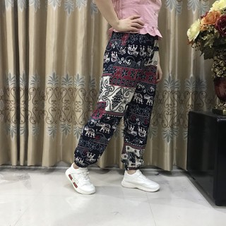 Quần Lanh Voi Bo Gấu