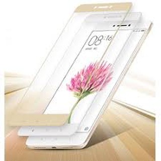 Kính cường lực Full màn Glass cho Xiaomi Mi max