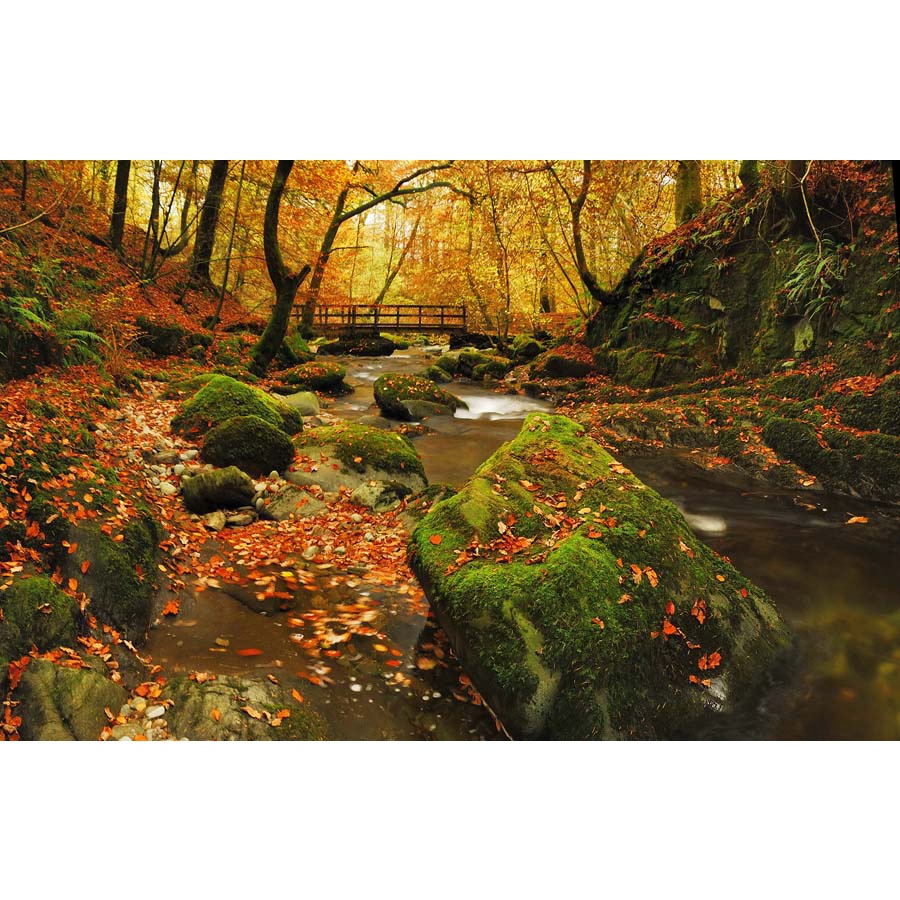 Tranh dán tường 3d thác nước thiên nhiên vẻ đẹp hùng vĩ, kỳ ảo với nhiều tầng, được bao quanh bởi những tán cây lớn