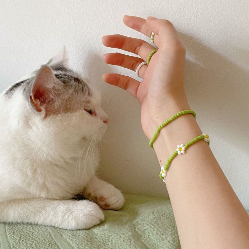 Vòng tay hạt cườm Inspired Rosé Blackpink | Vòng tay cheap moment Idol Kpop hoa cúc