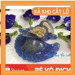 (SALE LỚN) 50 hạt giống hoa đậu biếc