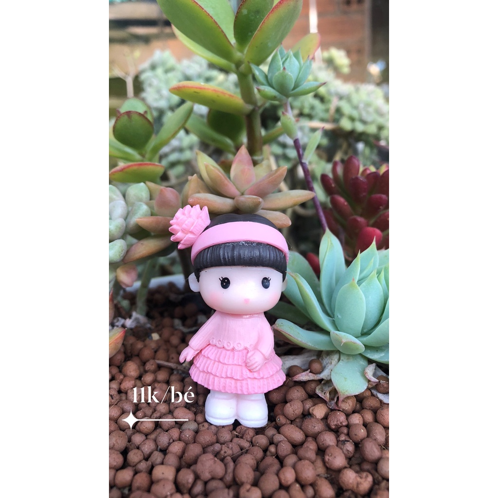 Phụ kiện sen đá các loại siêu dễ thương