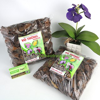 1kg vỏ thông thanh hà kích thước 3x4cm - gt3